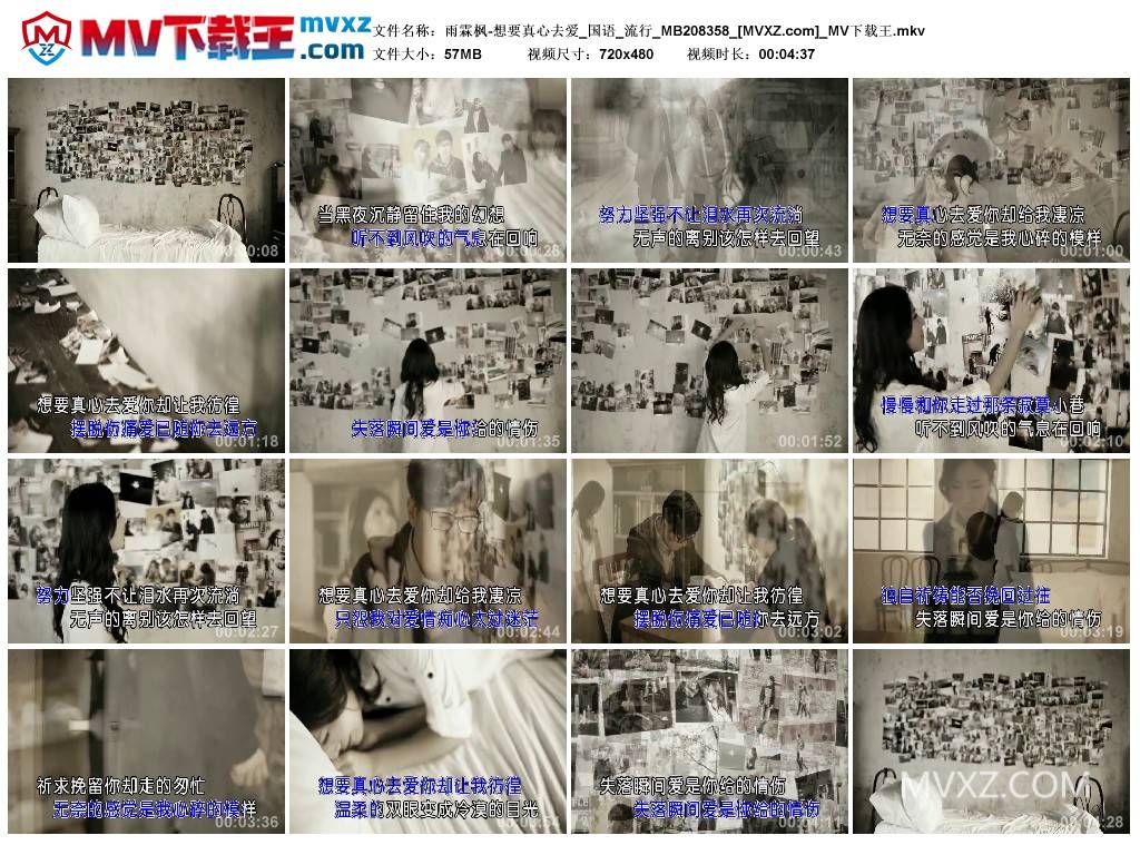 雨霖枫-想要真心去爱_国语_流行_MB208358